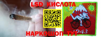 ГАЛЛЮЦИНОГЕННЫЕ ГРИБЫ Пыть-Ях
