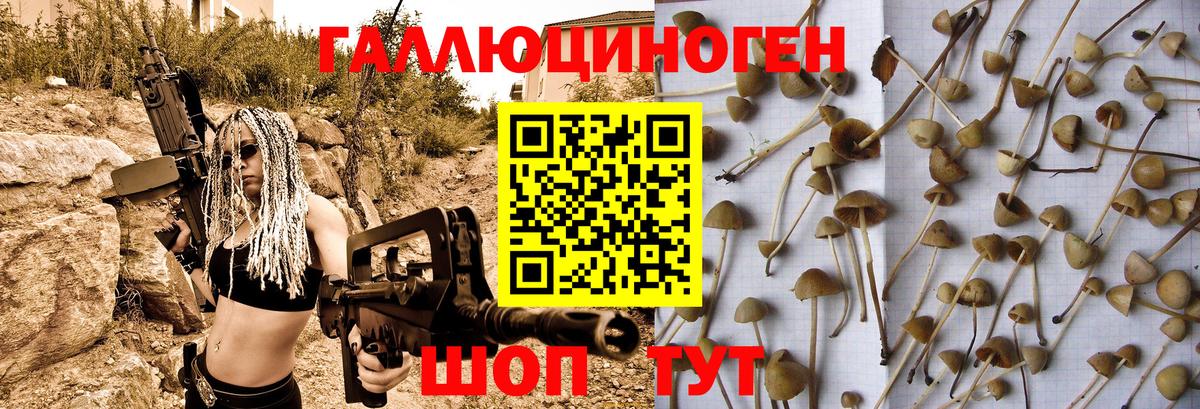 Галлюциногенные грибы Psilocybine cubensis  Галлюциногенные грибы Cubensis  Вход с VPN  Симферополь 